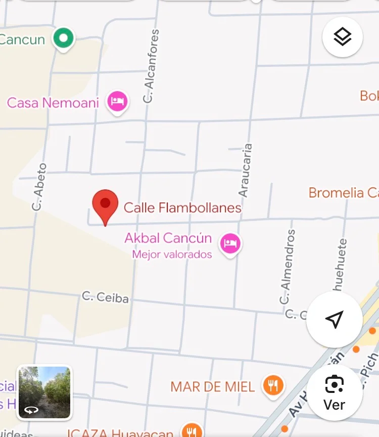 Terrenos en venta Álamos 2 — foto 1 de 1 · alamos