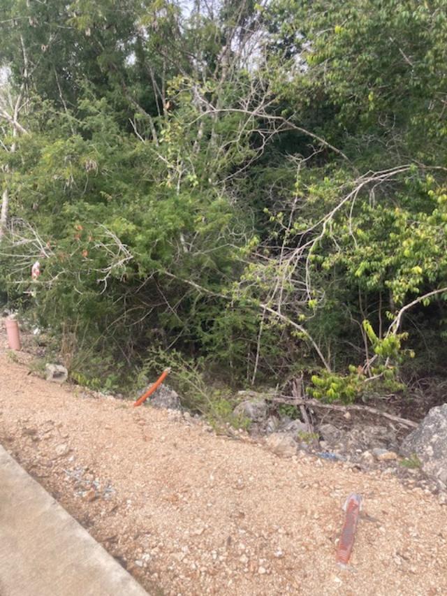 TERRENO EN RESIDENCIAL ALTÁI DE GRUPO CUMBRES CANCÚN AV. HUAYACÁN — foto 2 de 5 · huayacan
