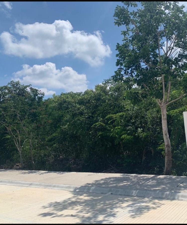 TERRENO EN venta EN MÉRIDA YUCATÁN — foto 2 de 6 · otra